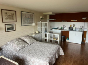 Grand Studio Vue Mer et Jardin